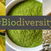 Image showing three different ingredients showcasing biodiversity at the Winter Fancy Food Show