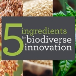 5 Ingredients for Biodiverse Innovation