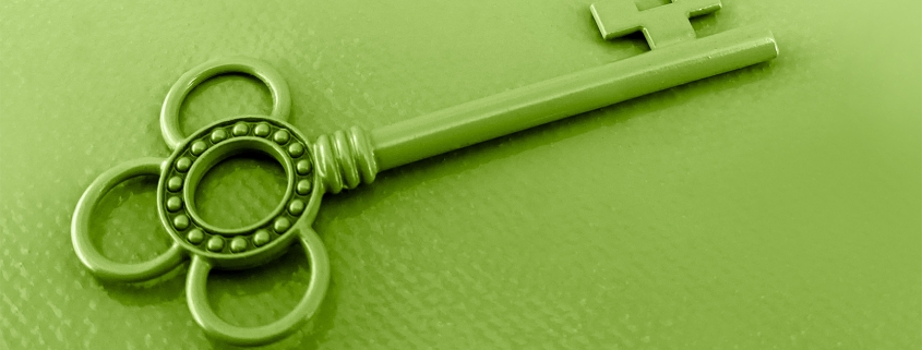 Picture of a green key against a green backdrop