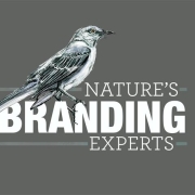Mockingbirds are nature's branding experts
